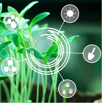 An image depicting Crop Tech - Sector Report